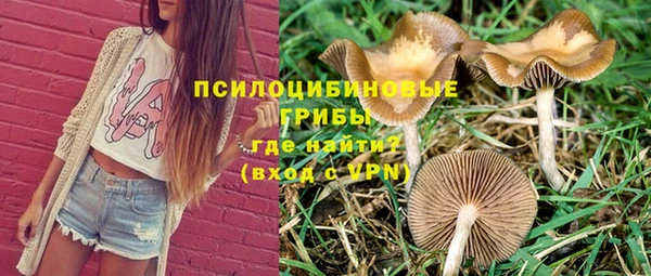 прущие крисы Зеленокумск