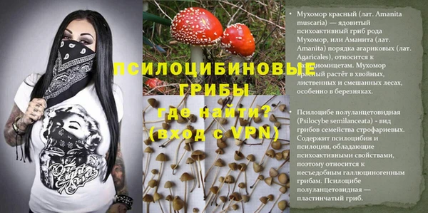 молекула духа Зерноград