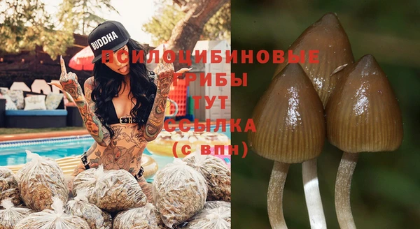 молекула духа Зерноград