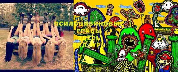прущие крисы Зеленокумск