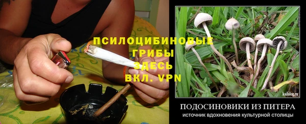 молекула духа Зерноград