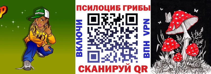 Купить закладки  Наро-Фоминск  Псилоцибиновые грибы GOLDEN TEACHER 